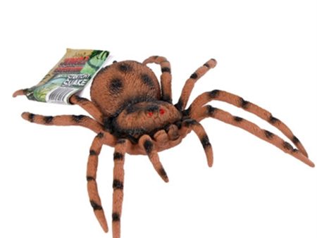 Pocket Money Spider For Cheap